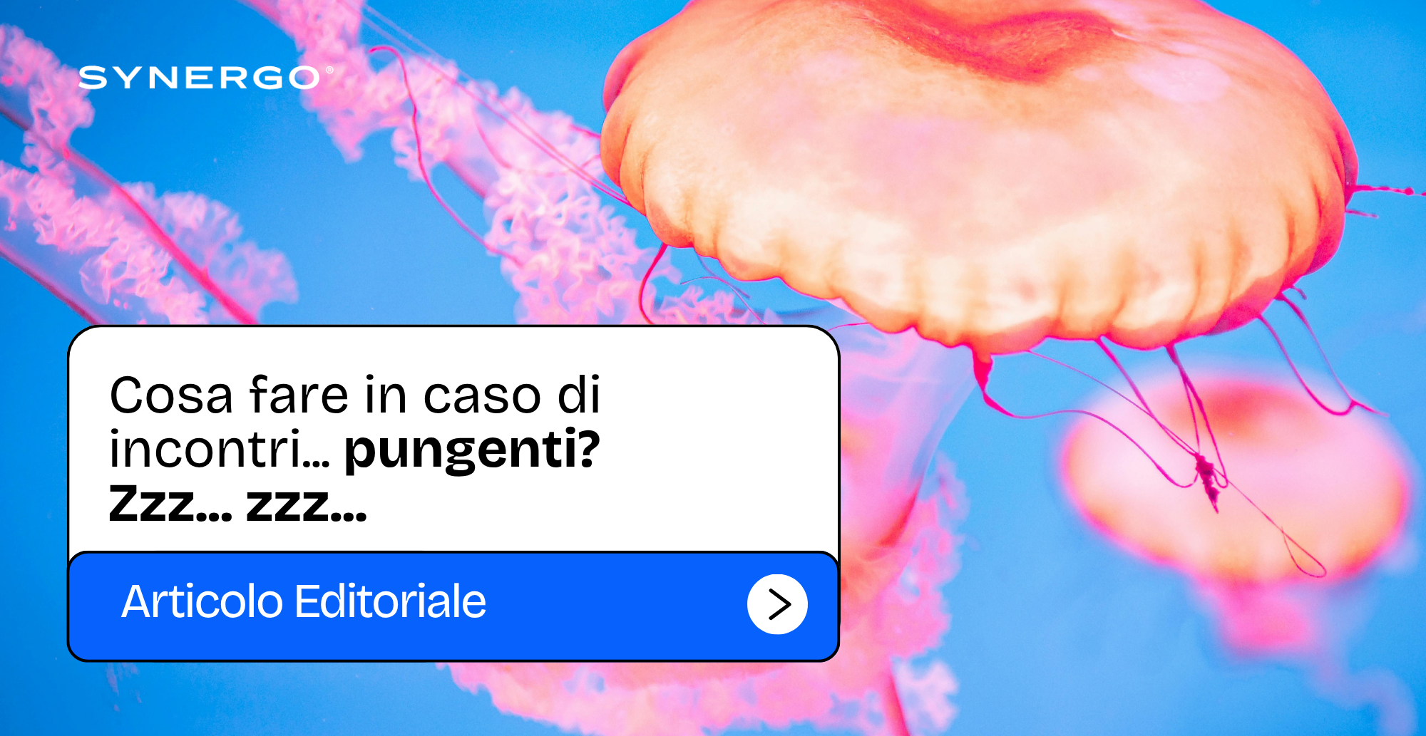 incontri pungenti